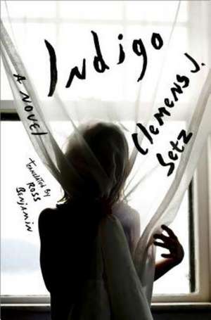 Indigo de Clemens J. Setz