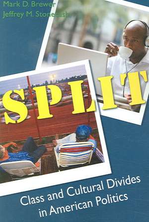 Split: Class and Cultural Divides in American Politics de Mark Brewer