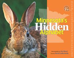 Minnesota's Hidden Alphabet de Joe Rossi