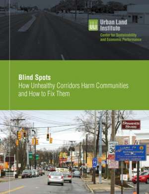 Blind Spots: How Unhealthy Corridors Harm Communities and How to Fix Them de Heather Zaccaro