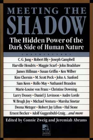 Meeting the Shadow de Connie Zweig