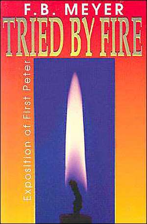 Tried by Fire de Frederick Brotherton Meyer