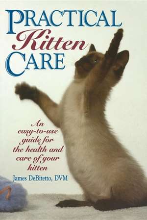 Practical Kitten Care de James Debitetto, Dvm