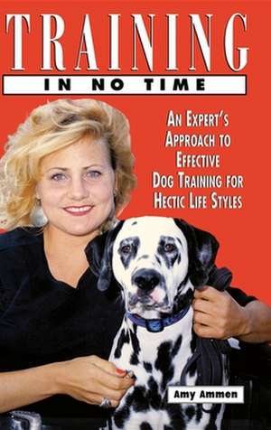 Training in No Time de Amy Ammen