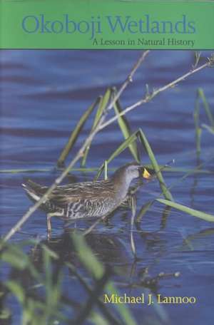 Okoboji Wetlands: A Lesson in Natural History de Michael J. Lannoo