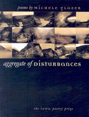 Aggregate of Disturbances de Michele Glazer