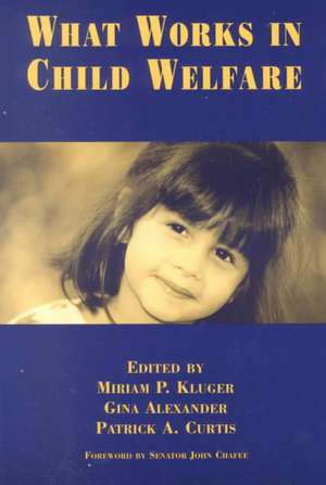 What Works in Child Welfare de Miriam P. Kluger