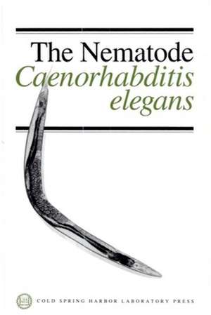 Nematode C Elegans #17 (P) '88 de William B. Wood