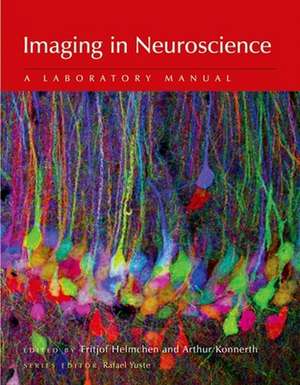 Imaging in Neuroscience de Fritjof Helmchen