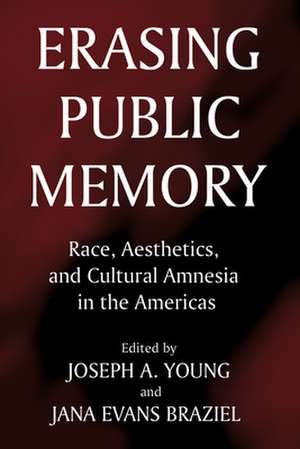 Erasing Public Memory: Race, Aesthetics, and Cultural Amnesia in the Americas de Jana Evans Braziel