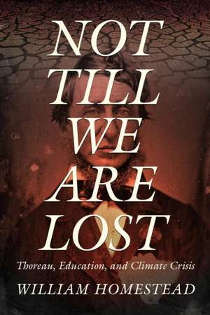 Not Till We Are Lost de William Homestead