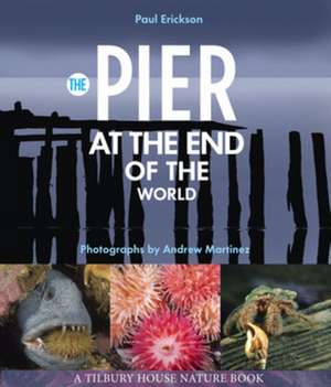 The Pier at the End of the World de Paul Erickson