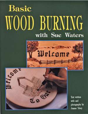 Basic Wood Burning de Sue Waters