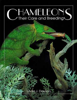 Chameleons: Their Care and Breeding de Linda Davison