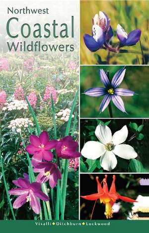 Northwest Coastal Wildflowers de Dana Visalli