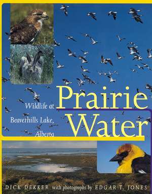 Prairie Water: Wildlife at Beaverhills Lake, Alberta de Dick Dekker PhD