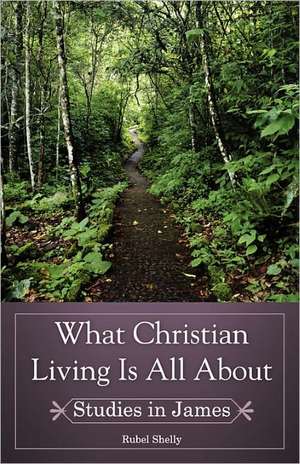 What Christian Living Is All about de Rubel Shelly