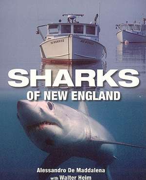 Sharks of New England de Alessandrao De Maddalena