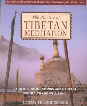 The Practice of Tibetan Meditation: Exercises, Visualizations, and Mantras for Health and Well-Being de Dagsay Tulku Rinpoche