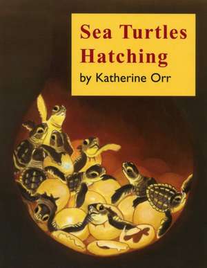 Sea Turtles Hatching de Katherine Orr