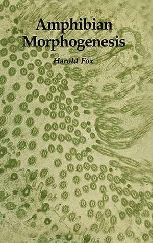 Amphibian Morphogenesis de Harold Fox