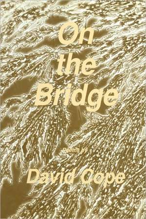 On the Bridge de David Cope