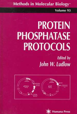 Protein Phosphatase Protocols de John W. Ludlow