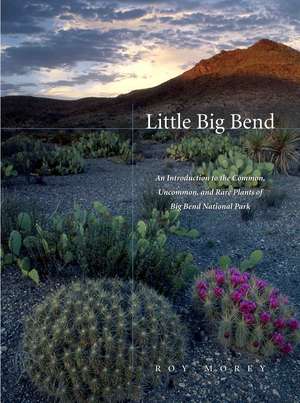 Little Big Bend: Common, Uncommon, and Rare Plants of Big Bend National Park de Roy Morey