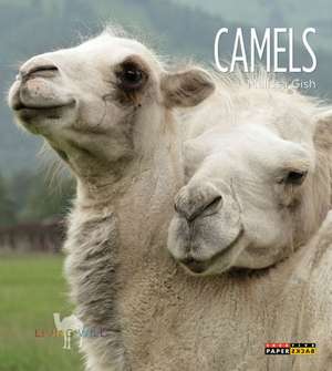 Camels de Melissa Gish