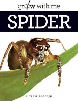 Spider de Valerie Bodden