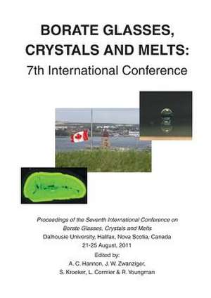 Borate Glasses, Crystals, & Melts: 7th International Conference de A. C. Hannon