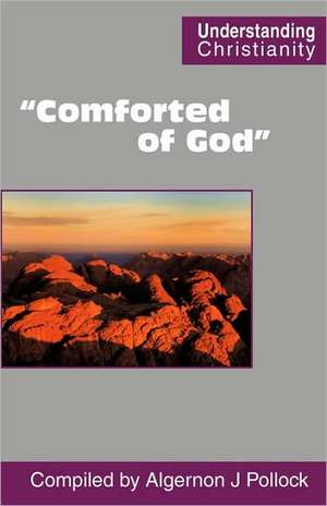 Comforted of God: The Archaeological Landscape of the Shell North Western Ethylene Pipeline de Pollock, Algernon James