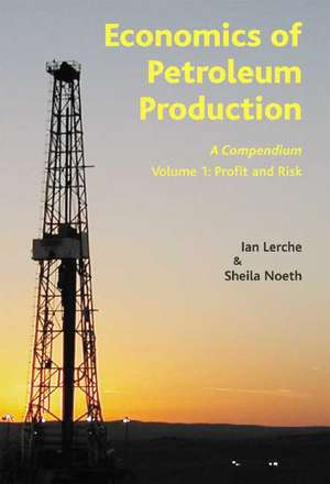 Economics of Petroleum Production: A Compendium : Profit and Risk de Ian Lerche