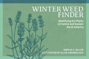 Winter Weed Finder de Dorcas S Miller