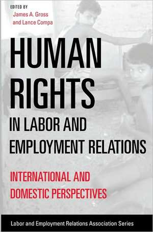 Human Rights in Labor and Employment Relations – International and Domestic Perspectives de James A. Gross