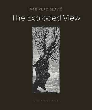 The Exploded View de Ivan Vladislavic