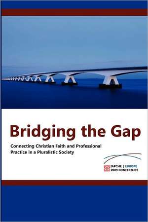 Bridging the Gap de Bram De Muynck