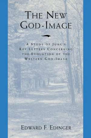 New God Image (P) de Edward F. Edinger