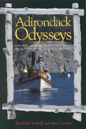 Adirondack Odysseys de Elizabeth Folwell