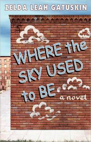 Where the Sky Used to Be de Zelda Leah Gatuskin