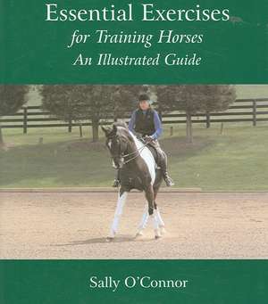 Essential Exercises de Sally O'Connor