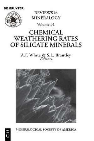 Chemical Weathering Rates of Silicate Minerals de Susan L. Brantley