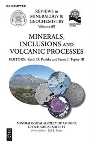 Minerals, Inclusions And Volcanic Processes de Frank J. Tepley III