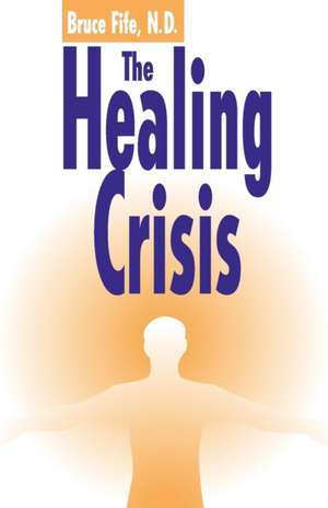 The Healing Crisis: An Introductory Guide to Literary Representation de Ken Price