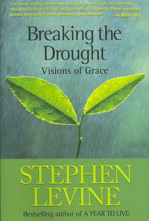 Breaking the Drought: Visions of Grace de Stephen Levine