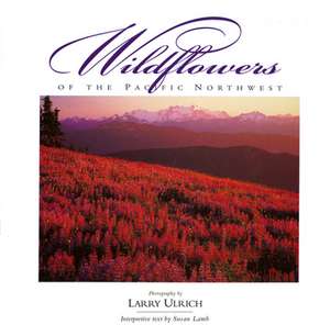 Wildflowers of the Pacific Northwest de Susan Lamb