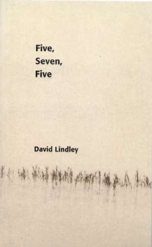 Five, Seven, Five de David Lindley