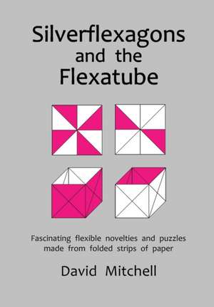 Silverflexagons and the Flexatube de David Mitchell