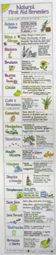 Natural First Aid Remedies Chart de Liz Cook