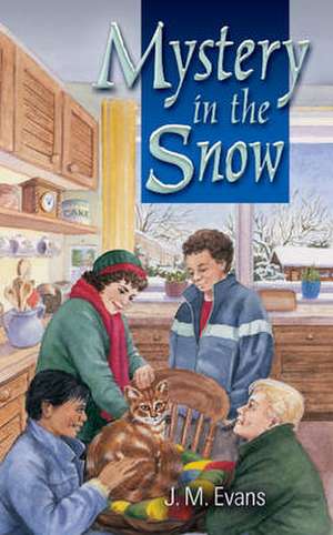 Mystery in the Snow de J.M. EVANS